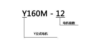 2025澳门开门原料免费
